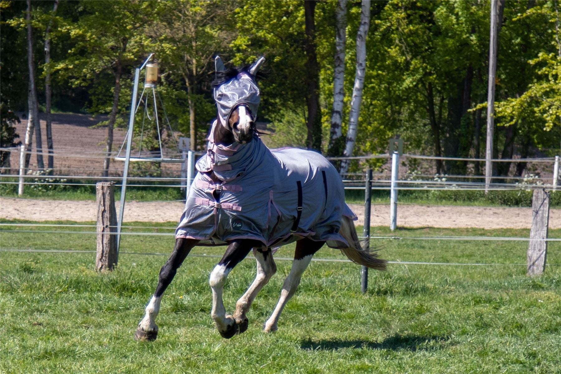 HKM Fly Rug With Neck Grey - Just Horse Riders