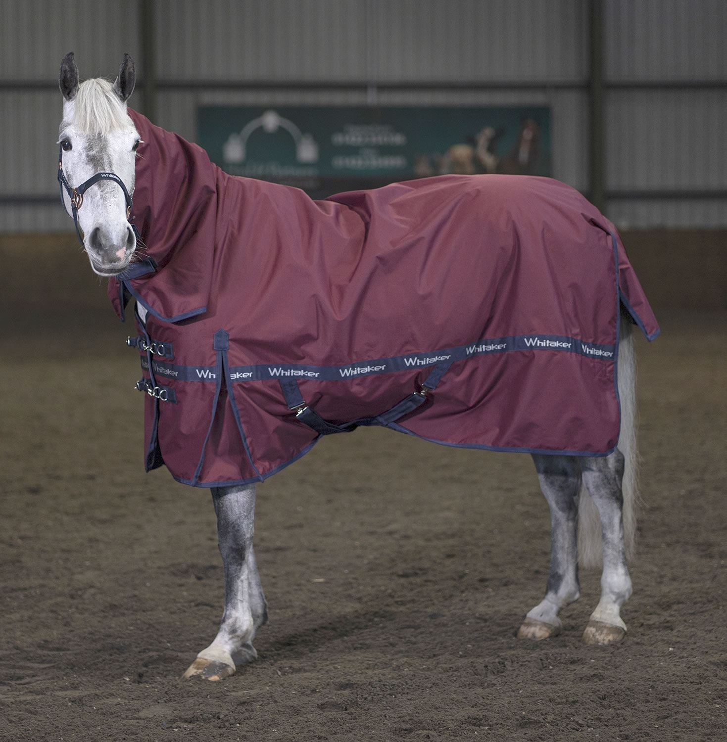Whitaker Brockfield Fixed Neck Turnout Rug 100Gm - Just Horse Riders