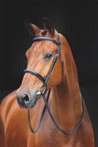 Shires Salisbury Fairford Bridle - Just Horse Riders