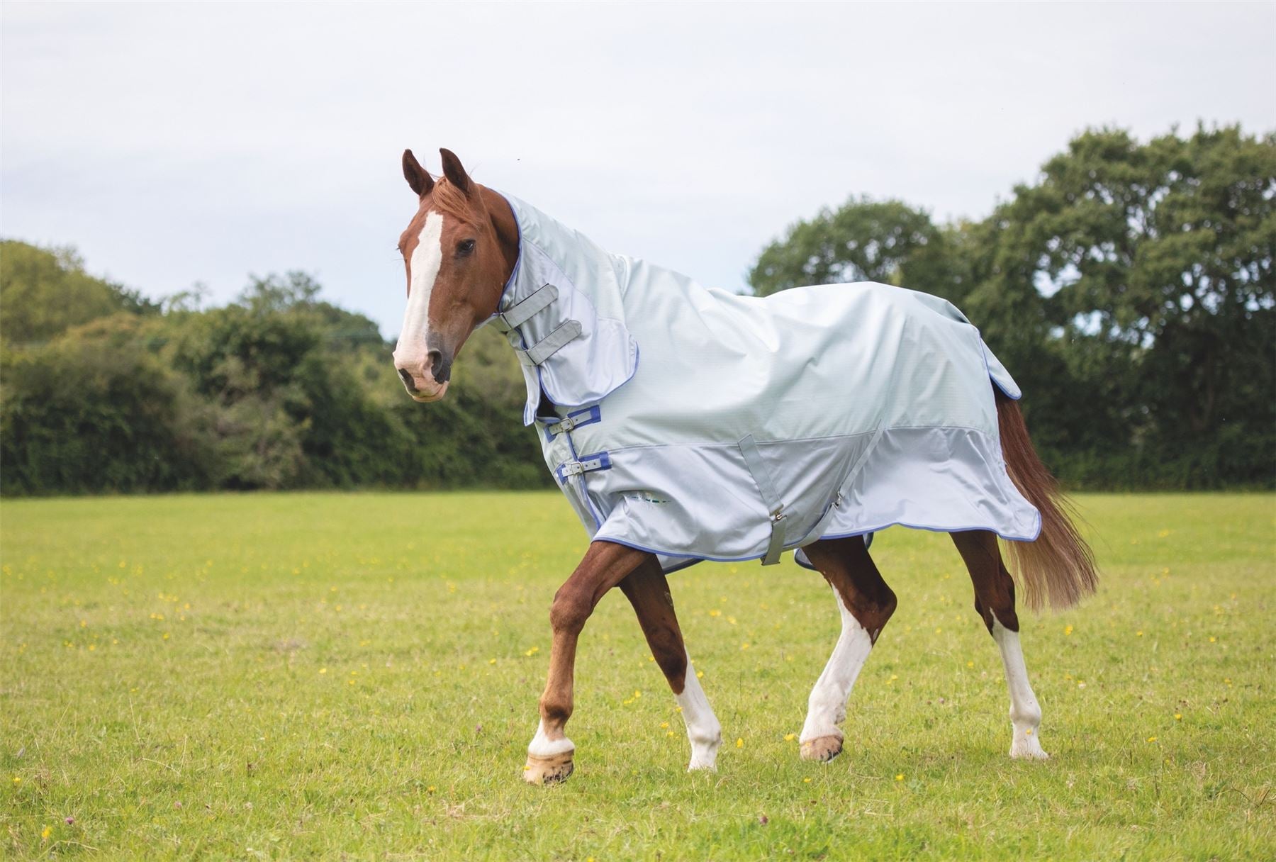 Shires Tempest Original Waterproof Fly Rug - Just Horse Riders