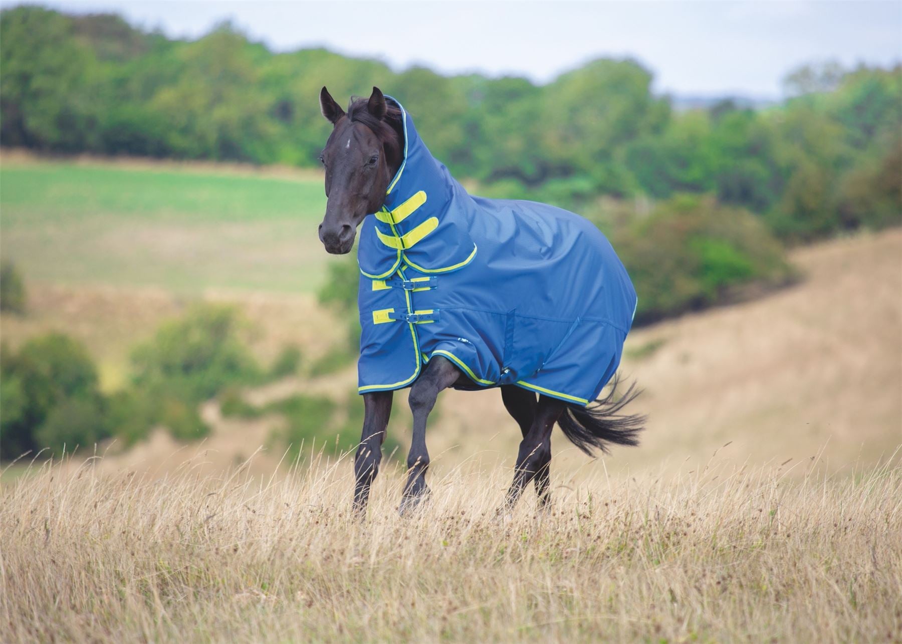 Shires Tempest Original 50 Combo Turnout Rug - Just Horse Riders