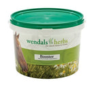 Wendals Booster - Just Horse Riders