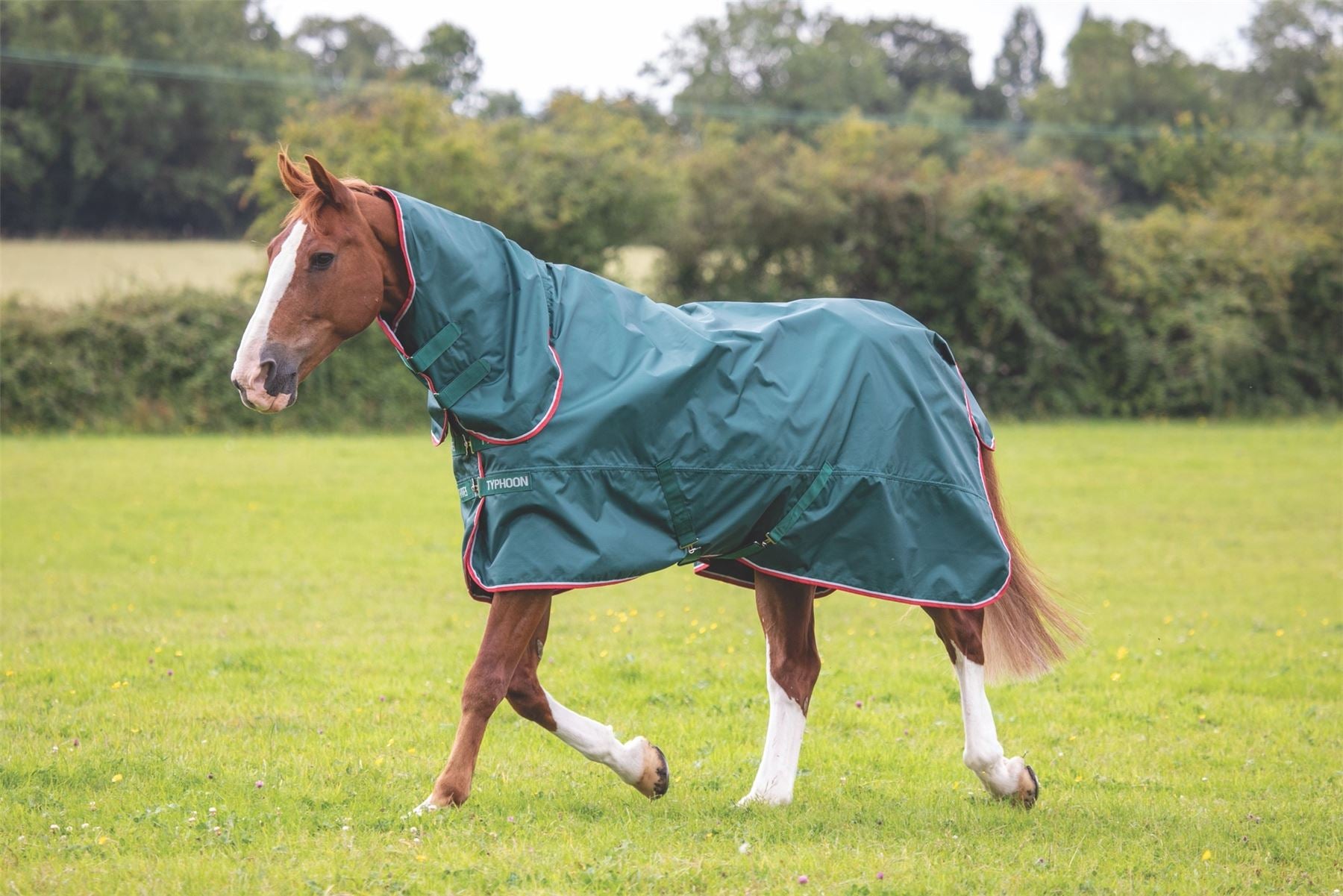Shires Typhoon Lite Combo Turnout Rug - Just Horse Riders