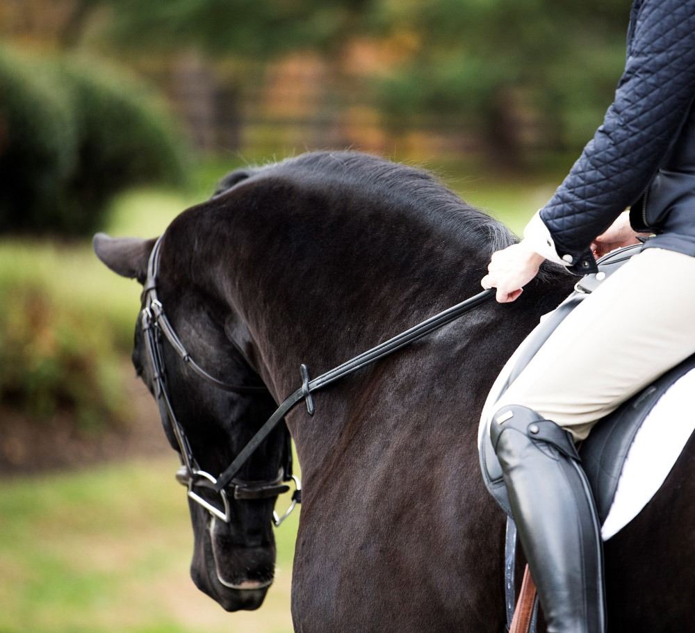 ThinLine English Reins Non-Slip Grip - Just Horse Riders