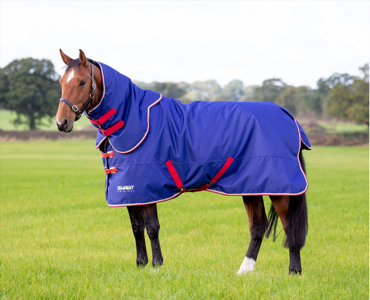 Shires Tempest Original 100 Turnout Rug & Neck - Suitable for cool nights and days
