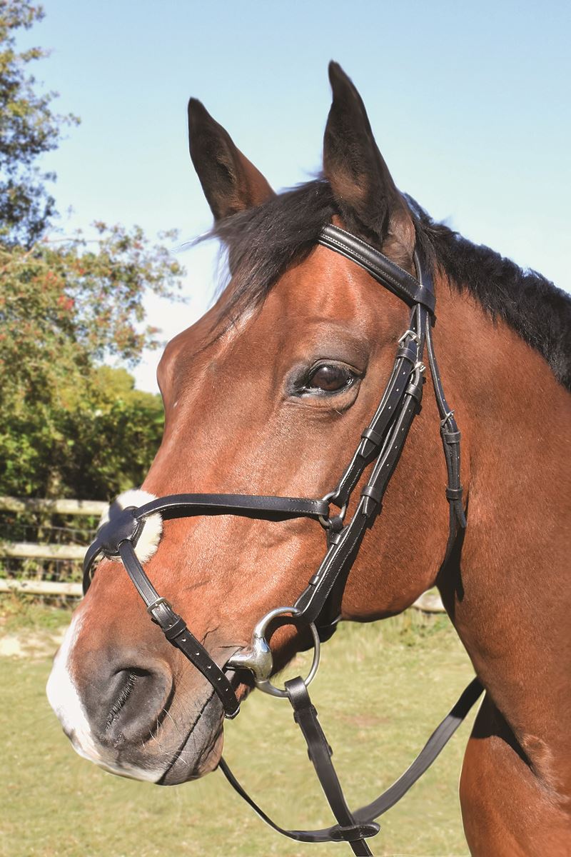 JHL Grakle Bridle - Just Horse Riders