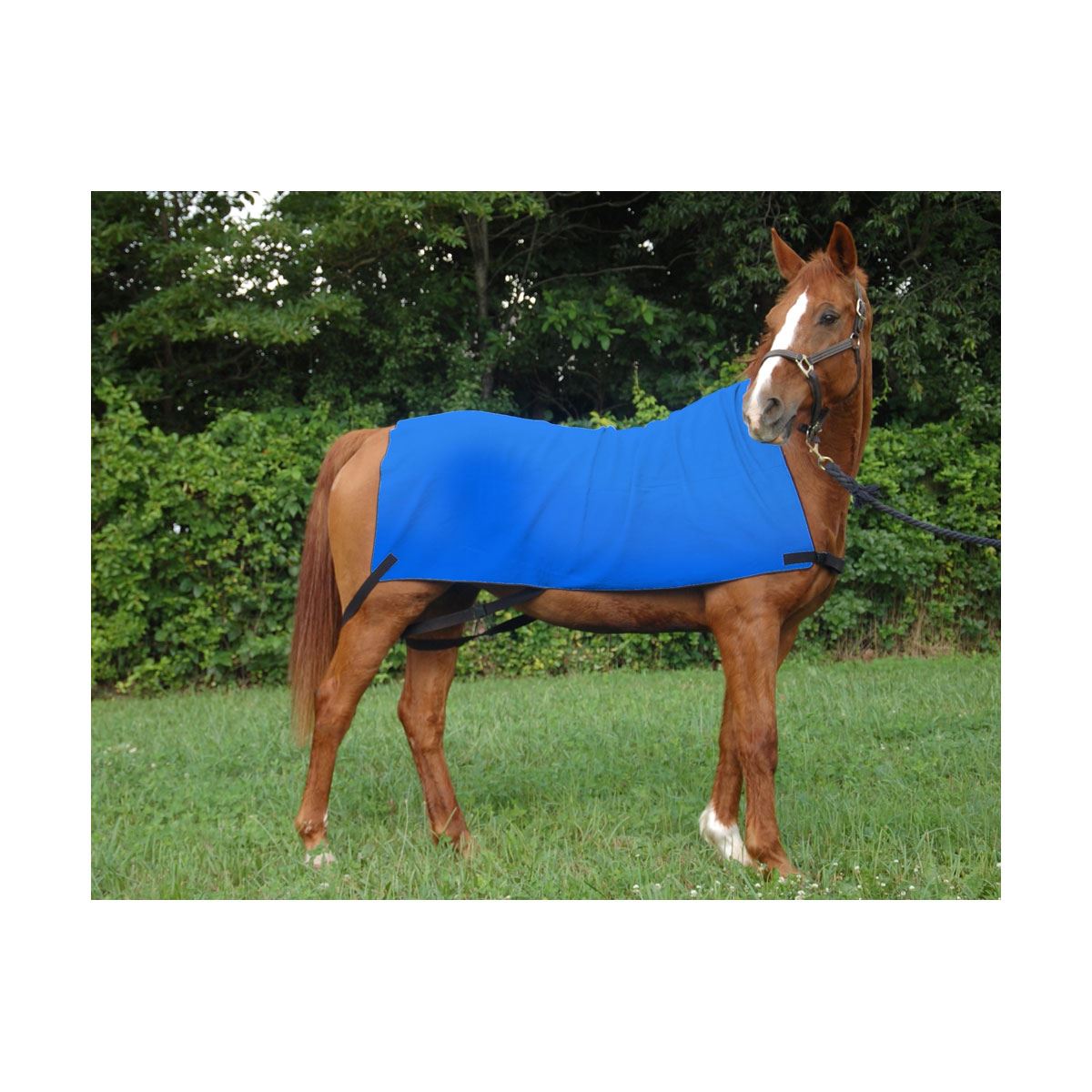 Equi Cool Down Equine Neck Wrap - Just Horse Riders