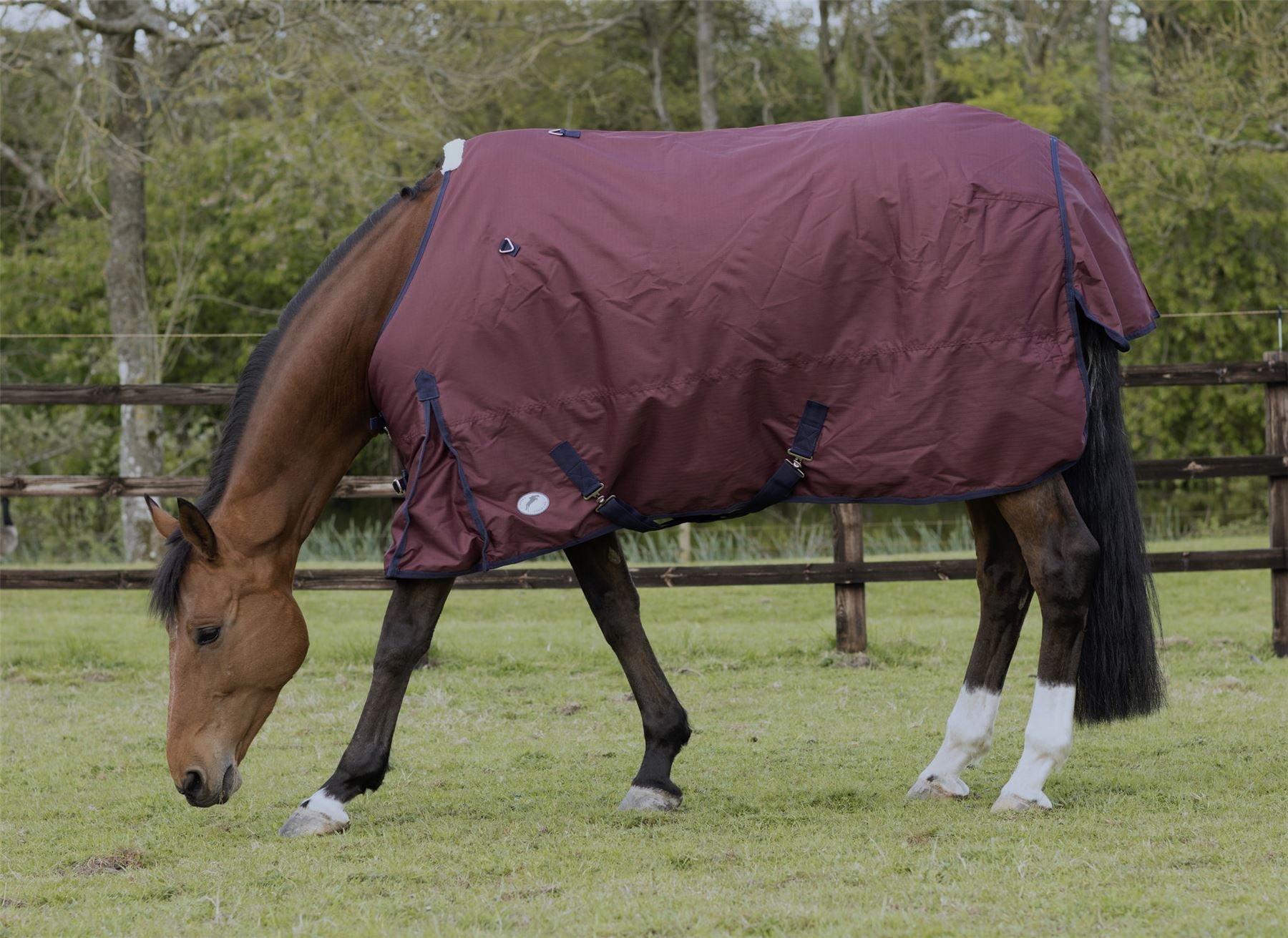 JHL Essential Lightweight Turnout Rug - Just Horse Riders
