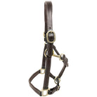 KM Elite Primera Padded Leather Headcollar - Just Horse Riders