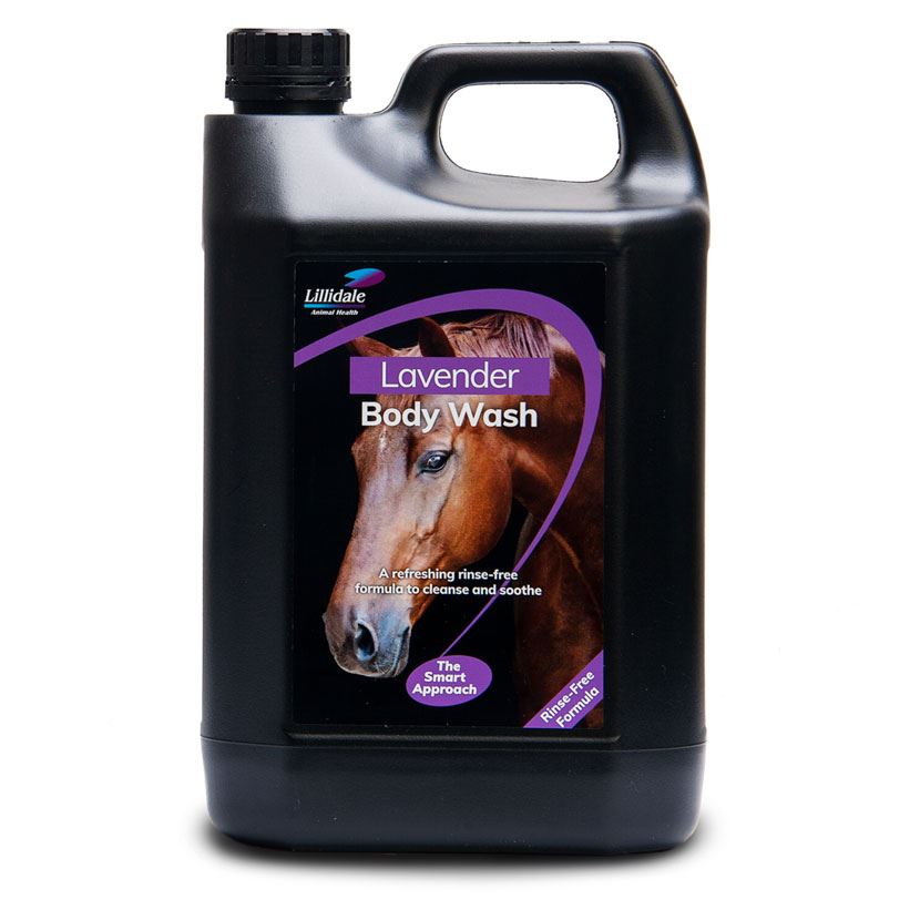 Lillidale Lavender Body Wash - Just Horse Riders