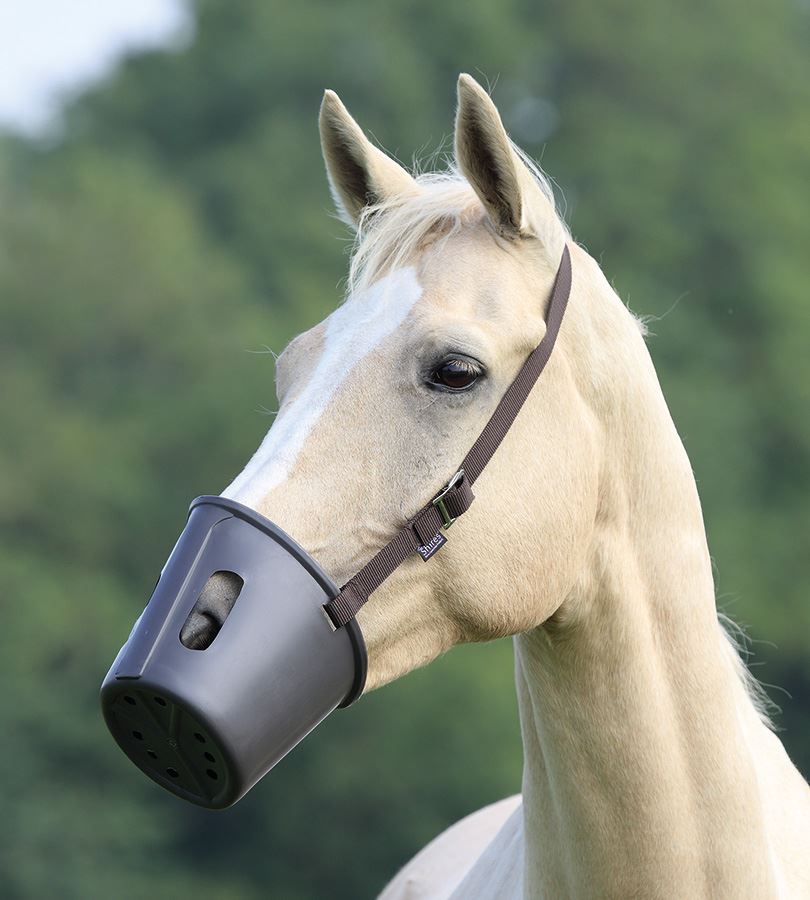 Shires Plastic Muzzle - Just Horse Riders