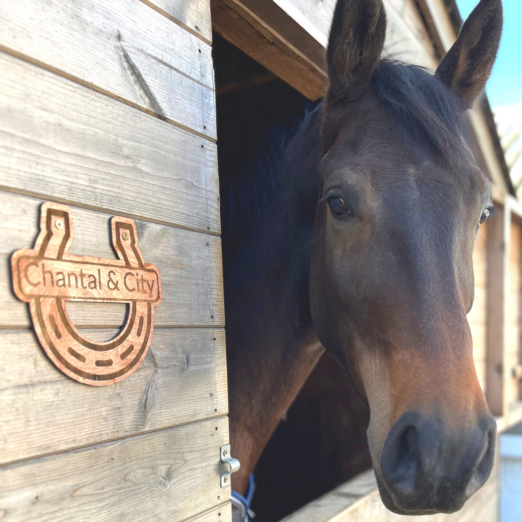 Personalised Wood Horse Shoe & Name Plate - Just Horse Riders