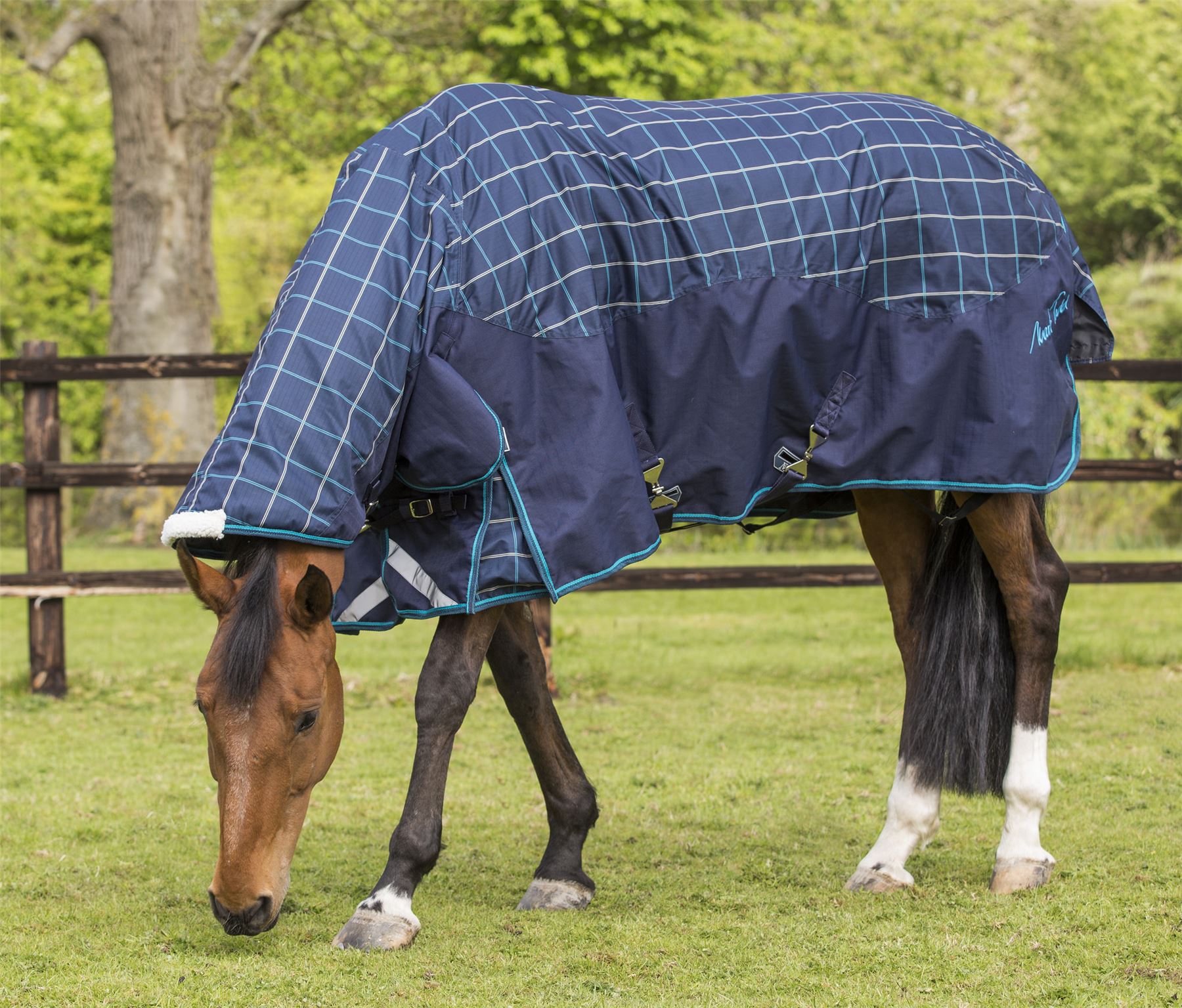 Mark Todd Heavyweight Combo Turnout Rug Plaid - Just Horse Riders