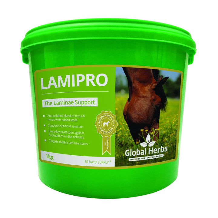 Global Herbs Laminitis Prone Supplement - the perfect support for horse's sensitive laminae