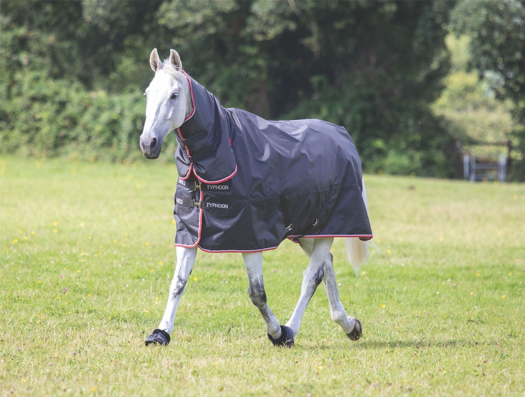 Shires Typhoon 200 Combo Turnout Rug - Just Horse Riders