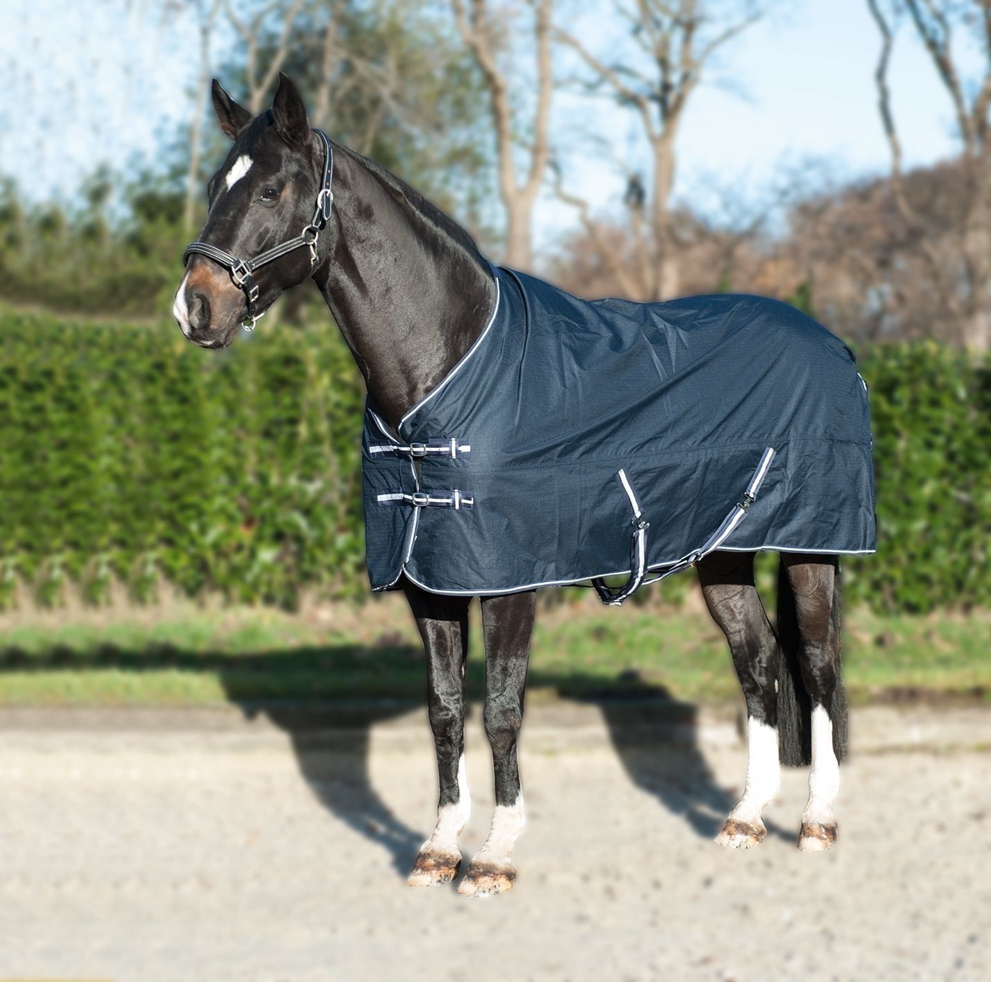 Hkm Turnout Rug Economic With Fleece