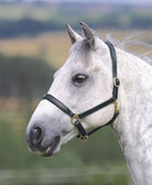 Shires Blenheim Ragley Lined Leather Headcollar - Just Horse Riders