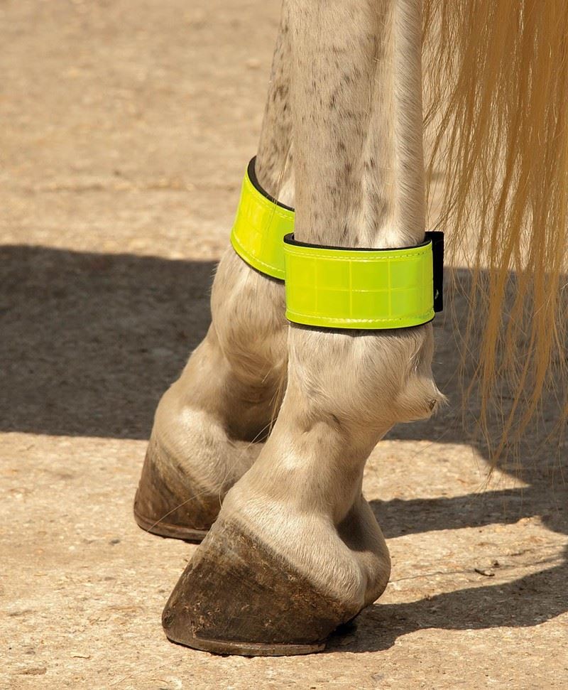 Harlequin Reflective Leg Bands - Just Horse Riders