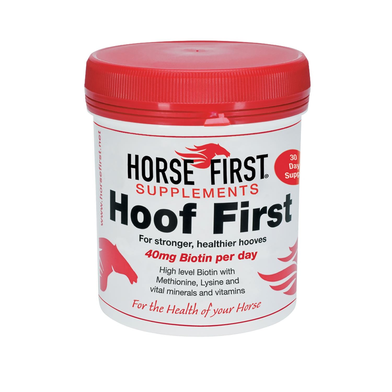 Horse First Hoof First - Just Horse Riders
