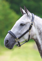 Shires Blenheim Leather Travel Headcollar - Just Horse Riders