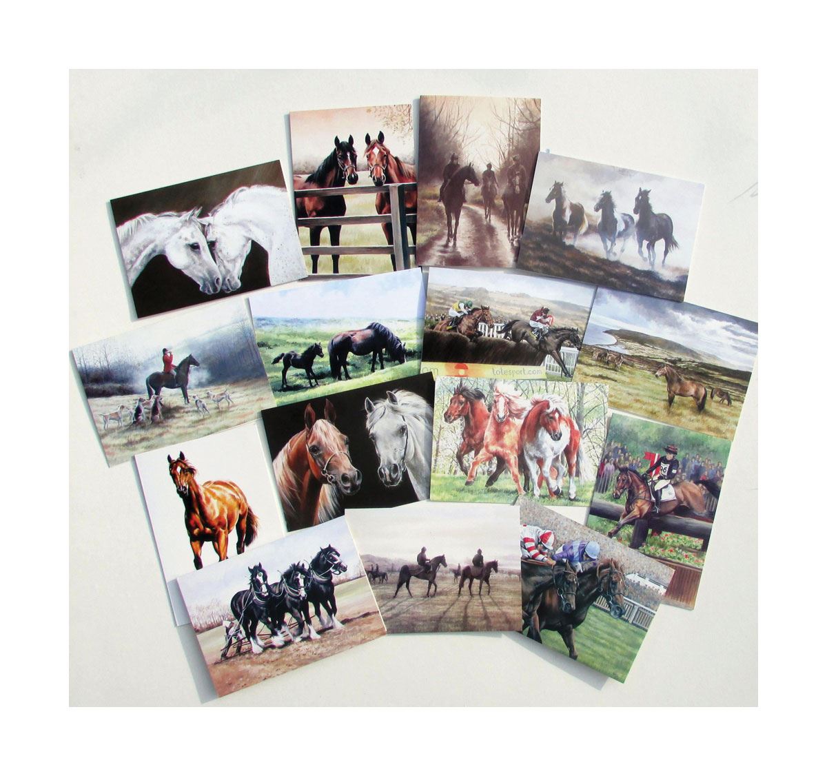 Caroline Cook Equestrian Cards - Just Horse Riders