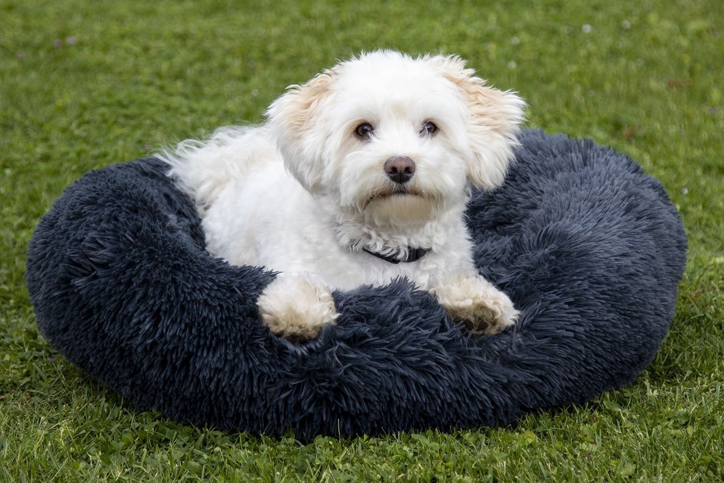 HKM Dog Bed Fluffy - Just Horse Riders