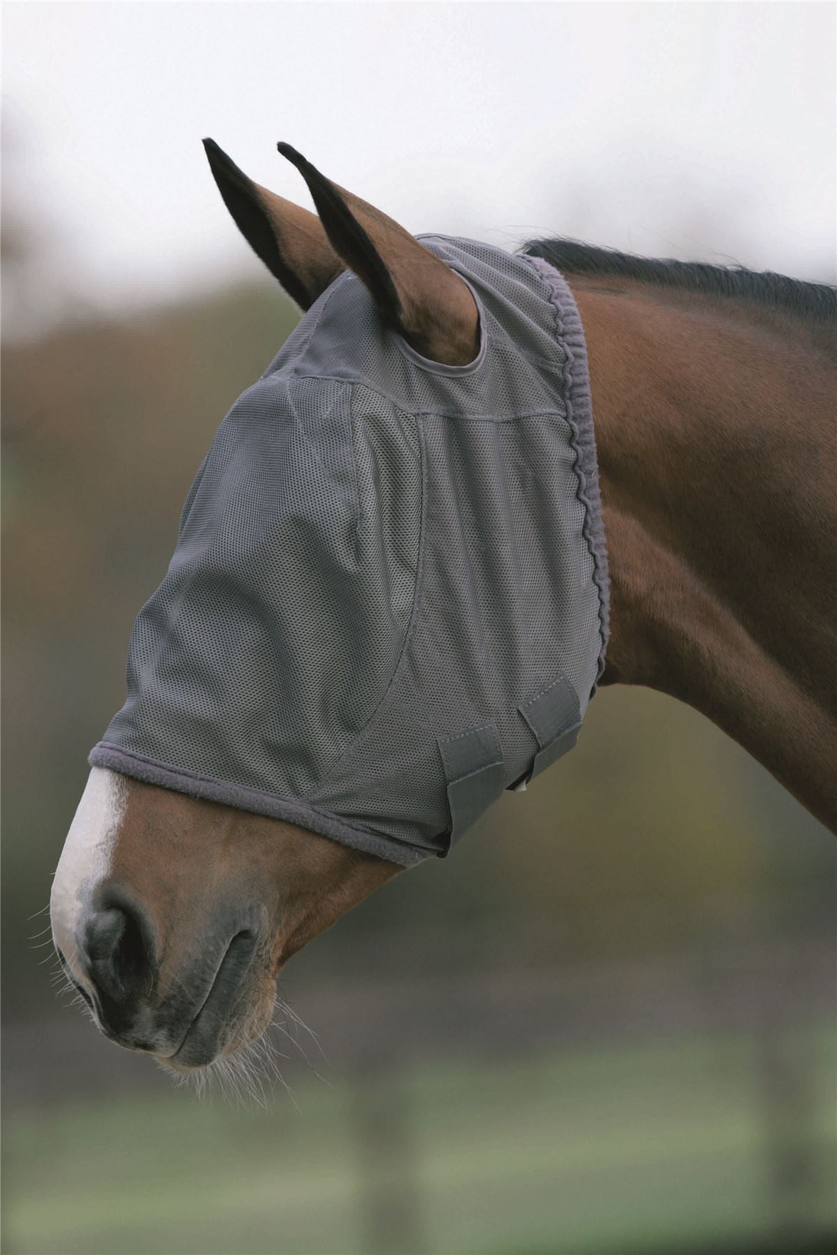 Mark Todd Fly Mask Without Ears - Just Horse Riders