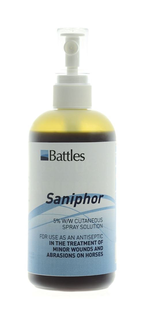 Battles Saniphor - Just Horse Riders