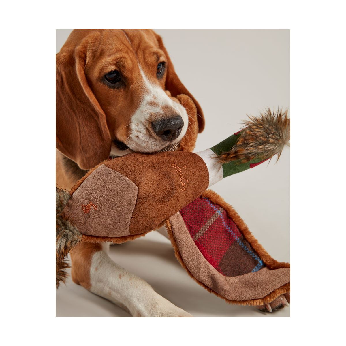 Joules Pheasant Dog Toy - Just Horse Riders