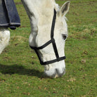 Rhinegold Field Safe Headcollar - Just Horse Riders