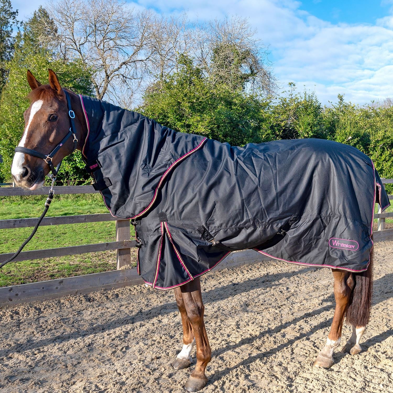 Whitaker Witton Turnout Rug Detachable Neck 200Gm - Just Horse Riders