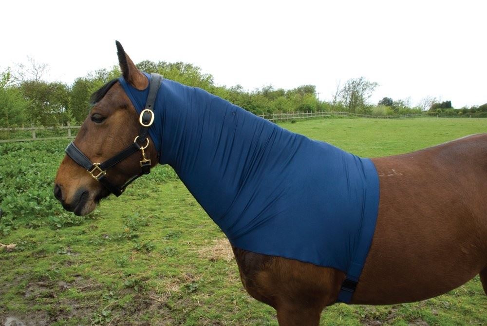 Rhinegold Satin Lycra Stretch Neck Cover - Just Horse Riders