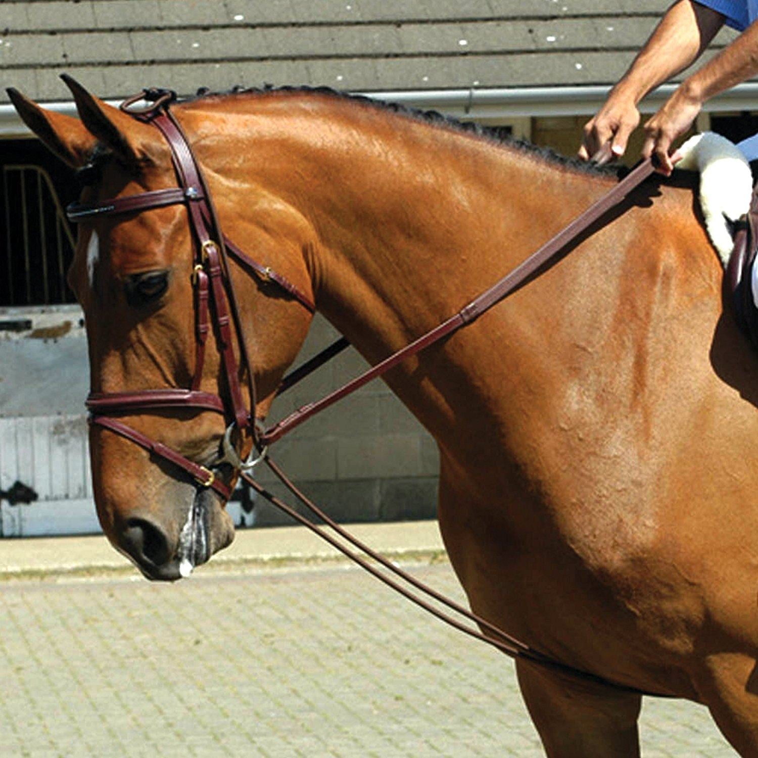 Whitaker Training Rein - Just Horse Riders
