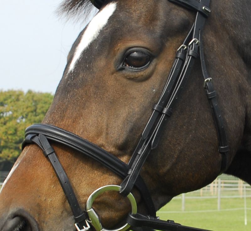 Heritage Flash Bridle - Just Horse Riders