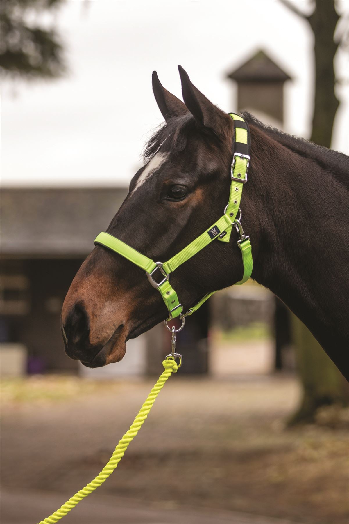 Mark Todd Deluxe Padded Headcollar With Lead Rope - Just Horse Riders