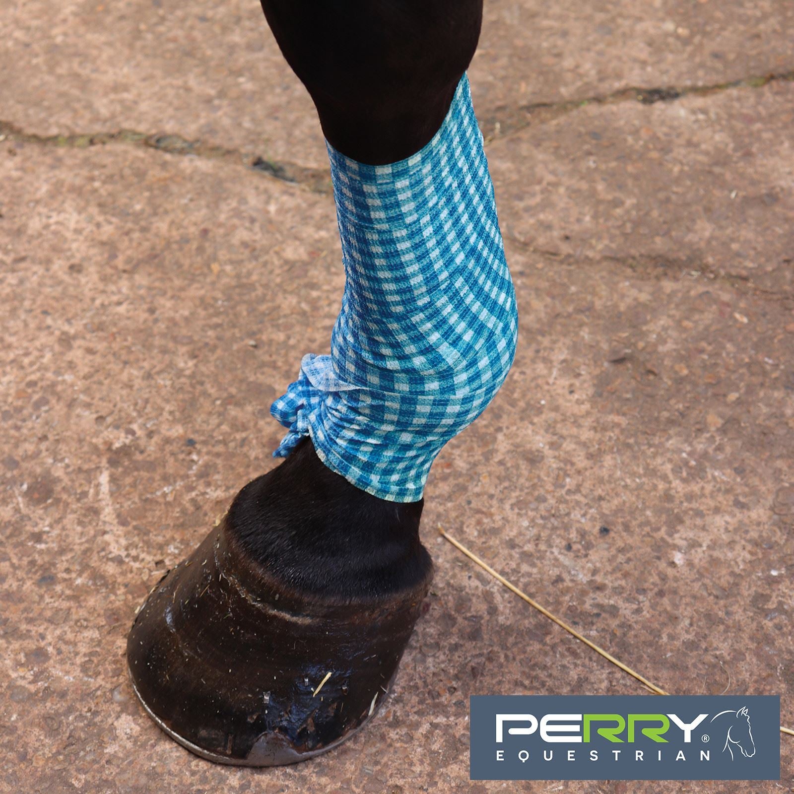 Perry Equestrian 100mm x 4.5m Cohesive Bandage (Blue Check) - Just Horse Riders