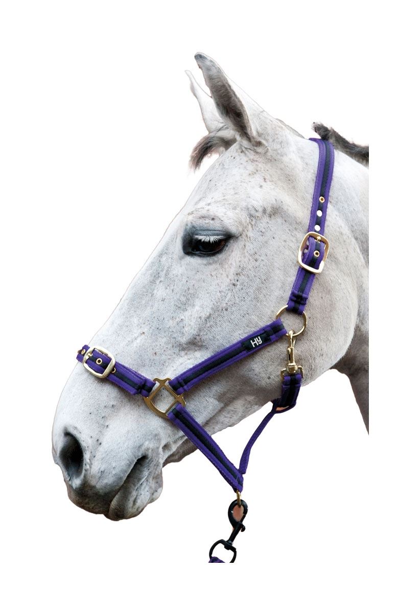 Hy Soft Webbing Head Collar - Just Horse Riders