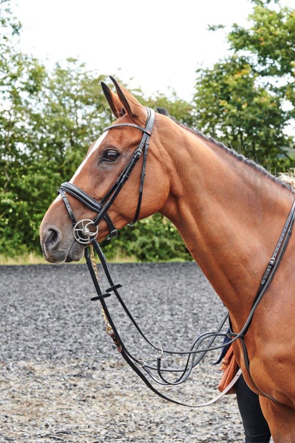 Whitaker Bling Bridle Barton - Just Horse Riders