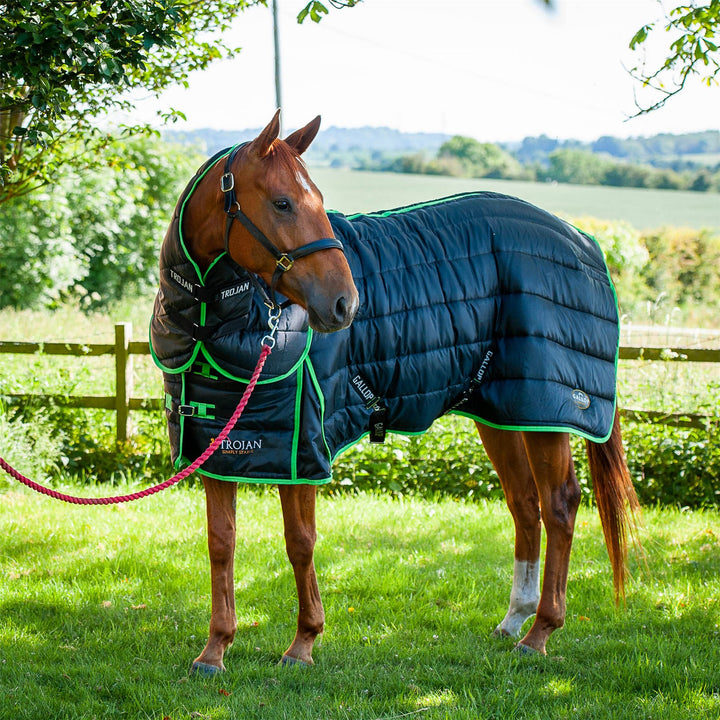 Gallop Equestrian Trojan Dual 300 Stable Rug & Neck Set - Perfect for Changing Weathers