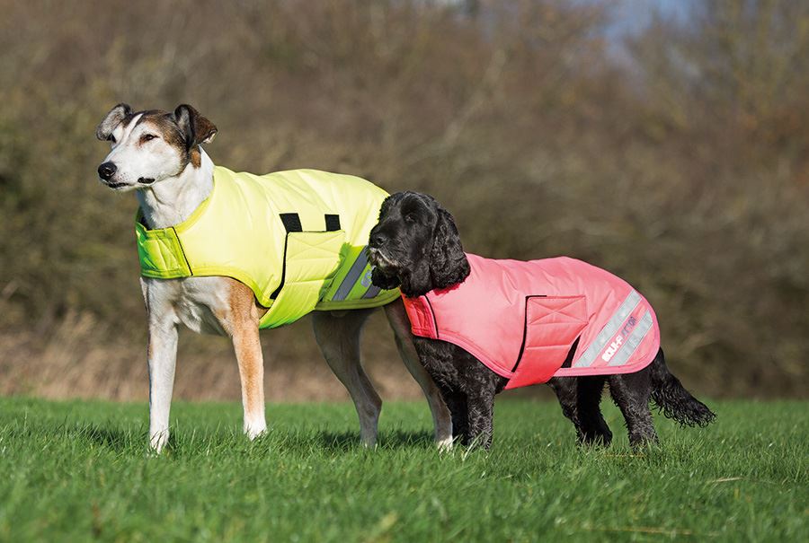 Shires Waterproof Dog Coat - Just Horse Riders