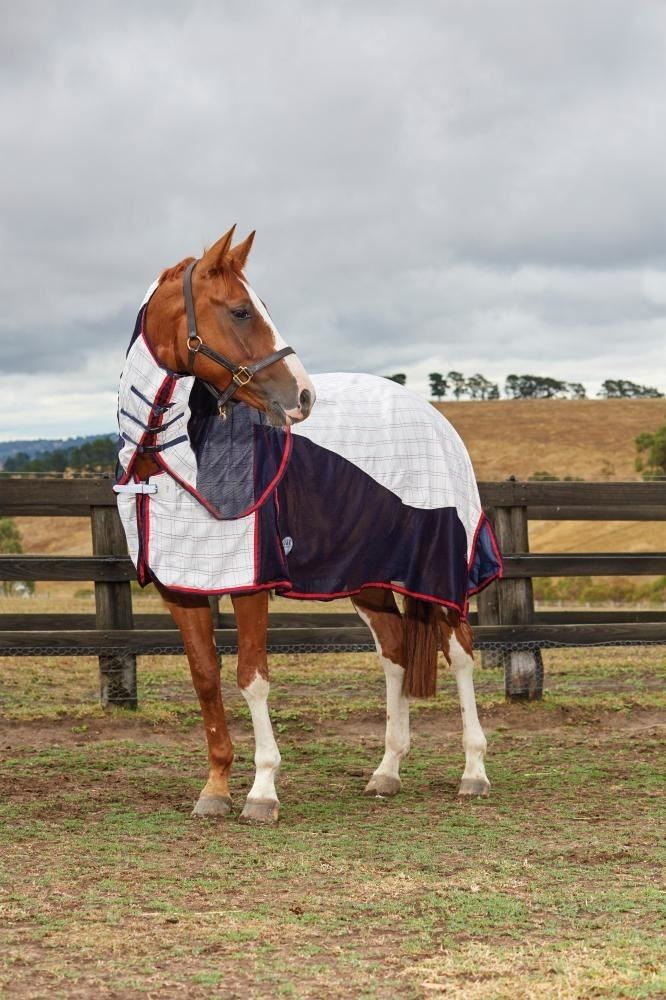 Weatherbeeta Breeze With Surcingle Combo Neck - Just Horse Riders