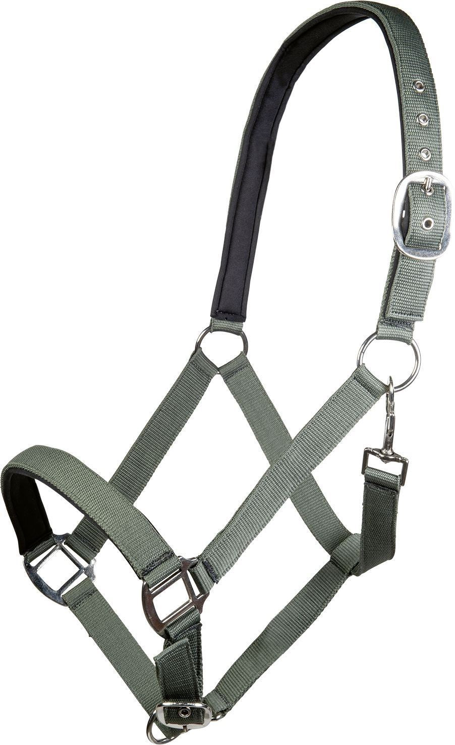HKM Head Collar Charming With Soft Padding - Just Horse Riders