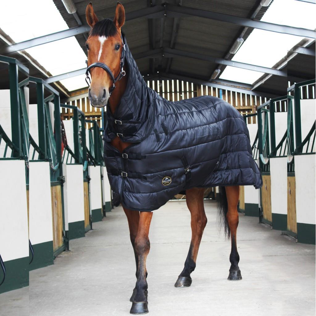 Gallop Equestrian Trojan 150 Combo Stable - Just Horse Riders