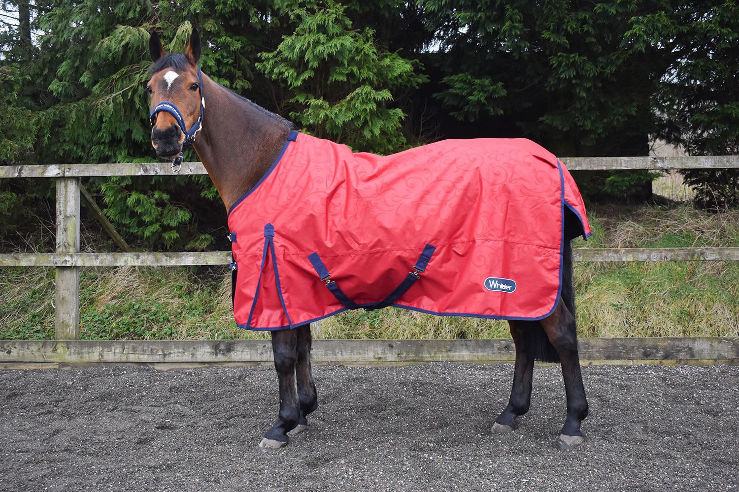 Whitaker Turnout Rug Millgate 100 Gm - Just Horse Riders