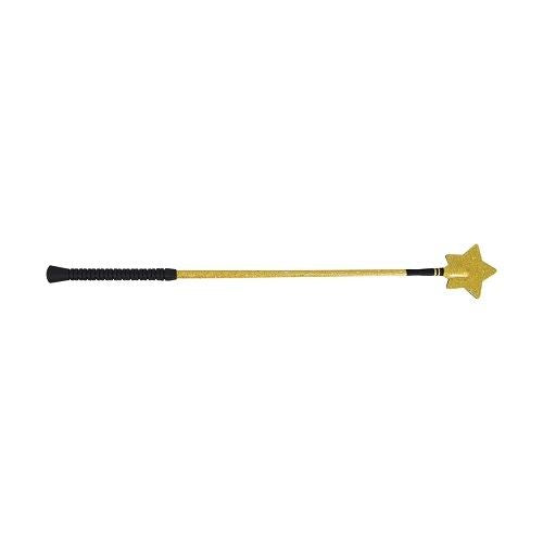 HySCHOOL Gold Star Horse Riding Whip - Just Horse Riders