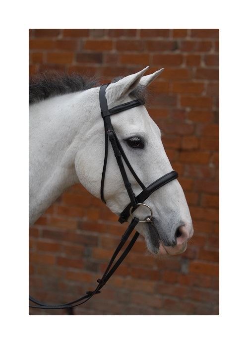 Hy Padded Cavesson Bridle With Rubber Grip Reins - Just Horse Riders