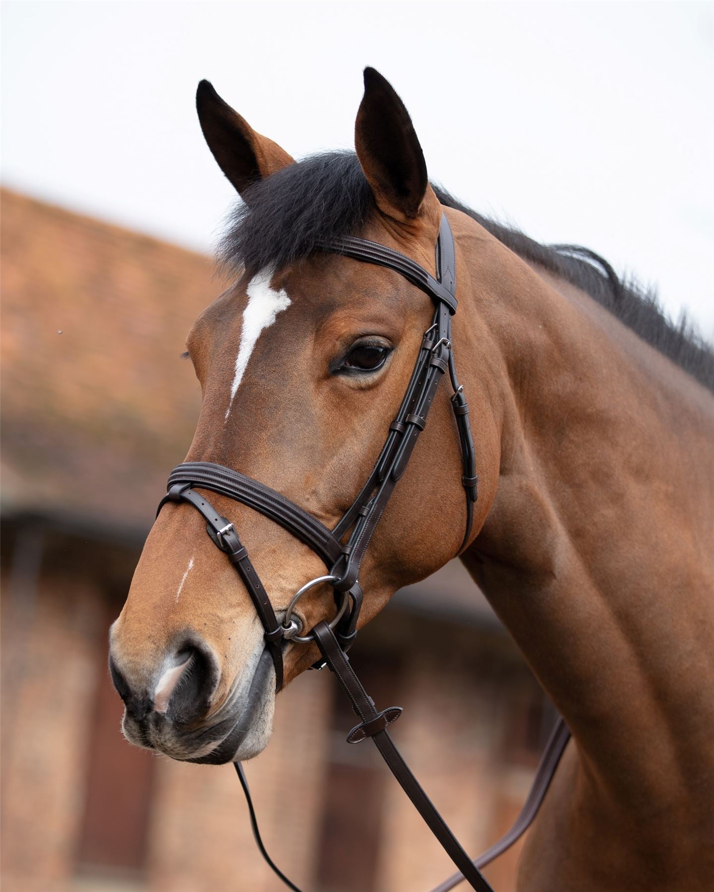 Mark Todd Double Raised Bridle - Just Horse Riders