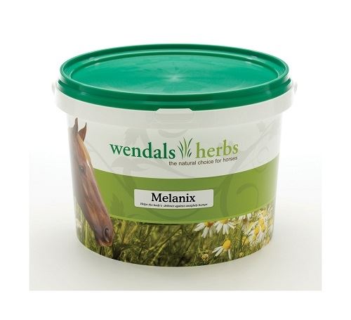 Wendals Melanix - Just Horse Riders