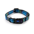 Ancol Patterned Collection Tartan Collar - Just Horse Riders