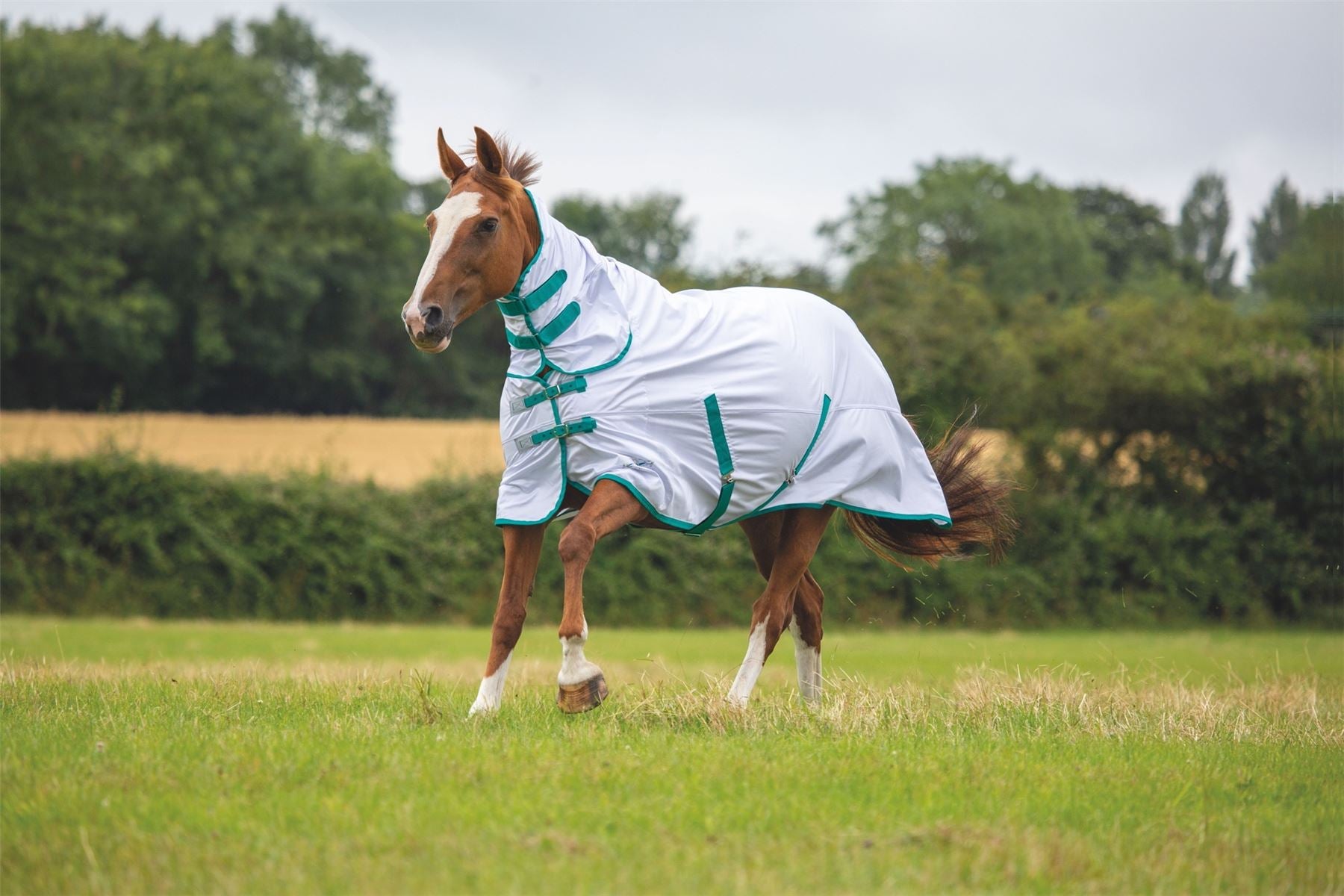 SHIRES TEMPEST FLY COMBO for optimal fit and comfort